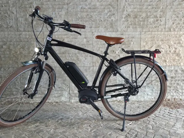 Riese & Müller Cruiser Silent
