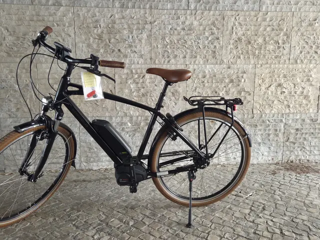 Riese & Müller Cruiser Silent